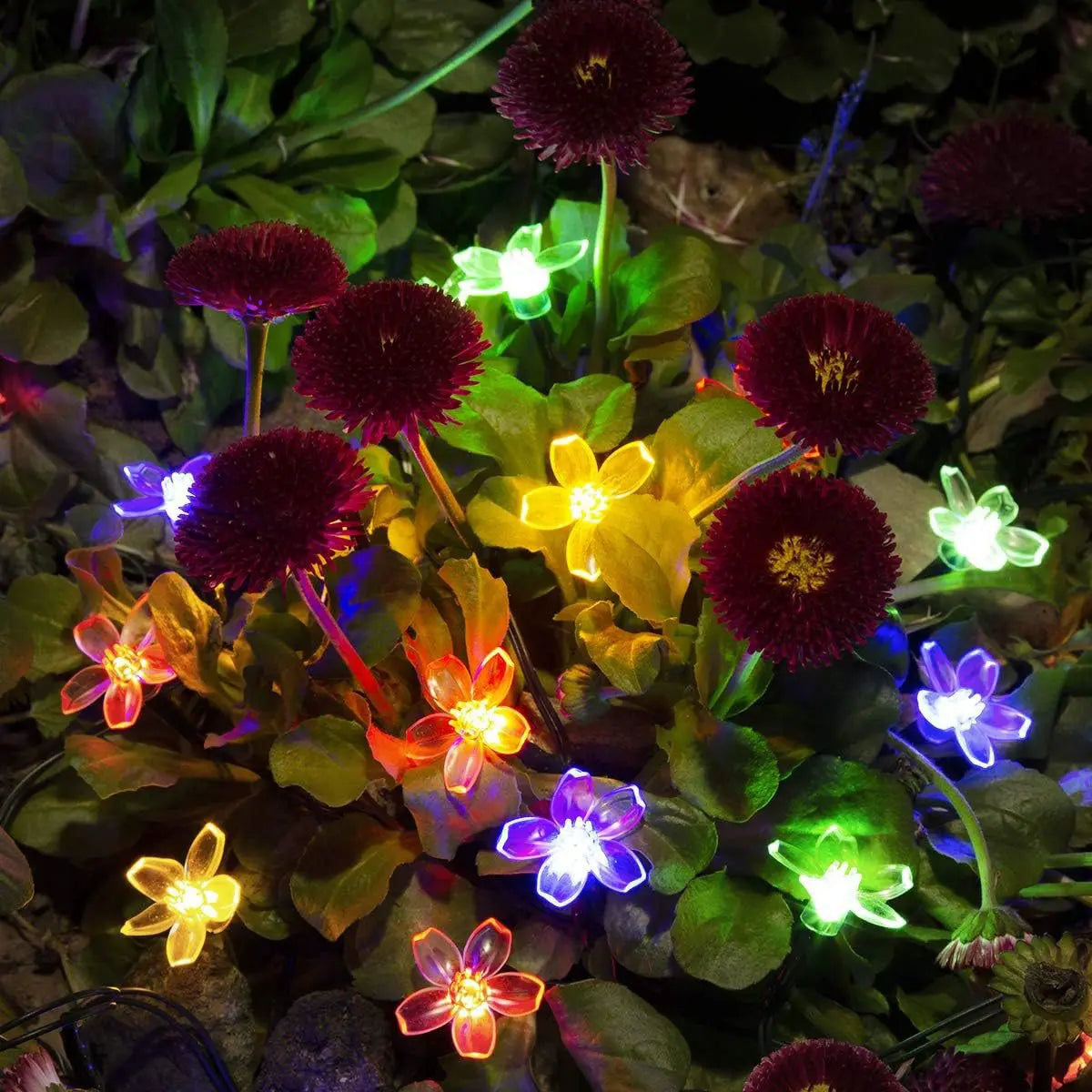 1 Stk Solar Lichterkette Blumen Outdoor Wasserdicht 20/30/50/100 LED Lichterkette für Garten Zaun Terrasse Hof Weihnachtsbaum Deko